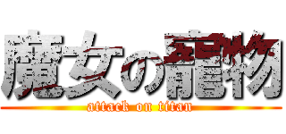 魔女の寵物 (attack on titan)