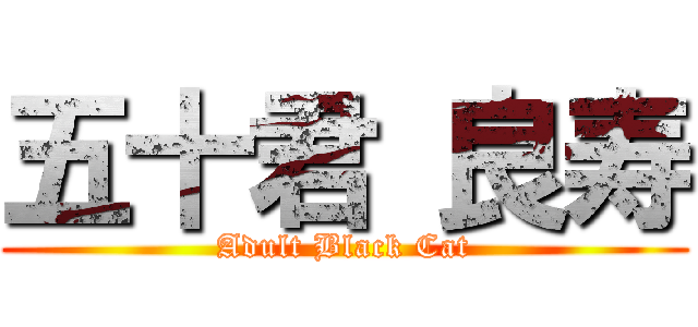 五十君 良寿 (Adult Black Cat)