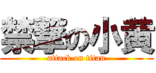 禁撃の小黄 (attack on titan)