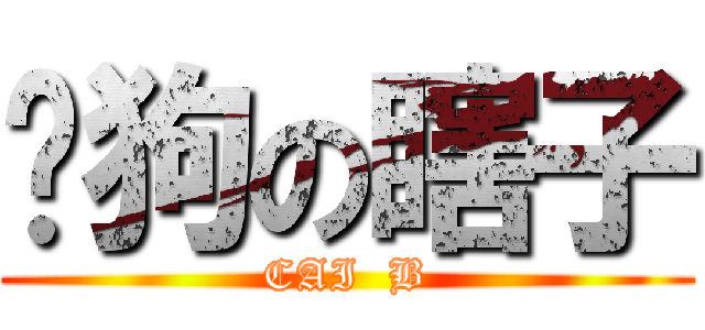 谭狗の瞎子 (CAI  B)