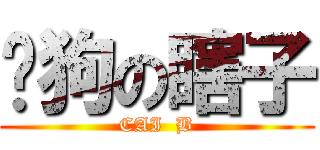 谭狗の瞎子 (CAI  B)