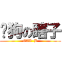 谭狗の瞎子 (CAI  B)