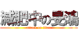 減肥中の旻鴻 (attack on titan)