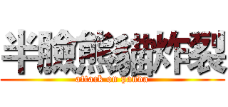 半臉熊貓炸裂 (attack on panda)