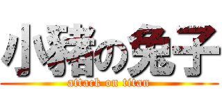 小豬の兔子 (attack on titan)