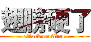 翅膀硬了 (attack on titan)
