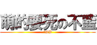 萌的要死の不藍 (↑SB)