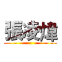 張凌煒 ()