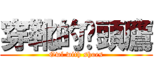 穿靴的貓頭鷹 (Owl with shoes)