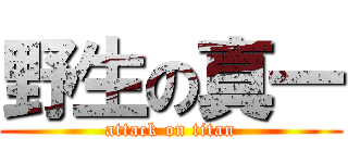 野生の真一 (attack on titan)