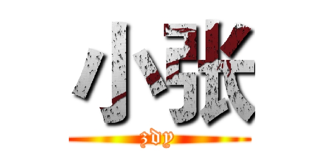 小张 (zdy)