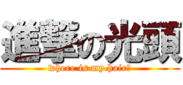 進撃の光頭 (where is my hair?)