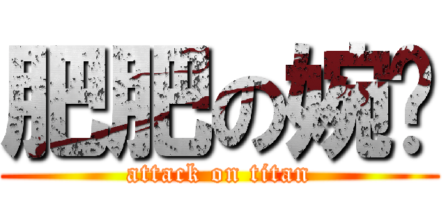 肥肥の婉瑄 (attack on titan)