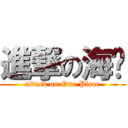 進撃の海贼 (attack on One Piece)