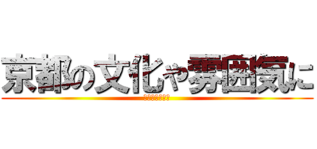 京都の文化や雰囲気に (慣れ親しもう！)