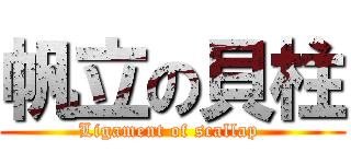 帆立の貝柱 (Ligament of scallap )