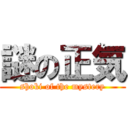 謎の正気 (shoki of the mystery)