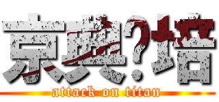 京典烘培 (attack on titan)