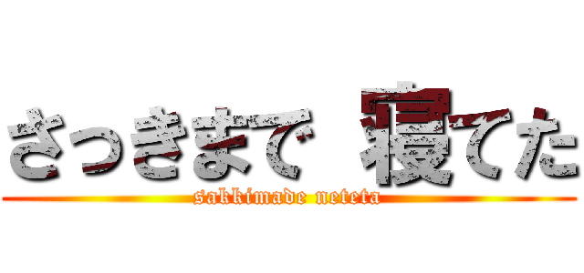 さっきまで 寝てた (sakkimade neteta)