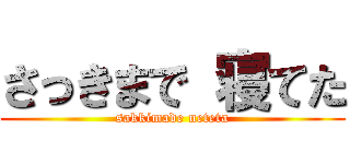 さっきまで 寝てた (sakkimade neteta)