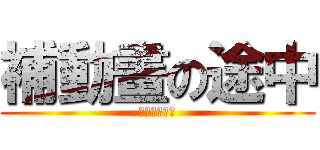 補動畫の途中 (血槽需要擴建)