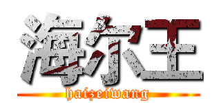 海尔王 (haizeiwang)