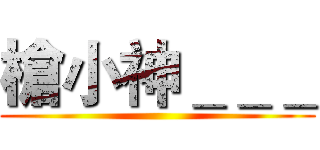 槍小神＿＿＿ ()