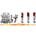 急げ！！！ (hurry UP！！！)