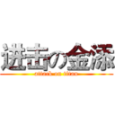 进击の金添 (attack on titan)