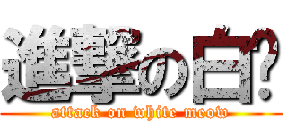 進撃の白喵 (attack on white meow)