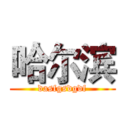 哈尔滨 (dasfgsdgdf)