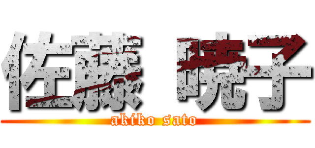 佐藤 暁子 (akiko sato)