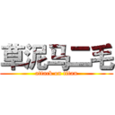 草泥马二毛 (attack on titan)