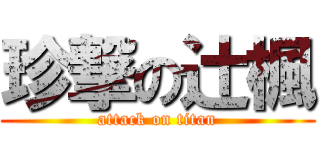 珍撃の辻楓 (attack on titan)
