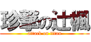 珍撃の辻楓 (attack on titan)