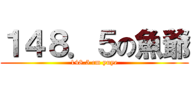 １４８．５の魚爺 (148.5 cm yuye)