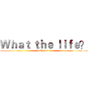 Ｗｈａｔ ｔｈｅ ｌｉｆｅ？ (hobbies of us)