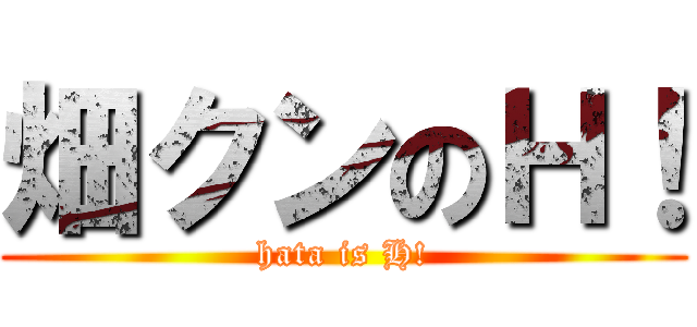 畑クンのＨ！ (hata is H!)