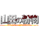 山田の粉物 (KONA on YAMADA)