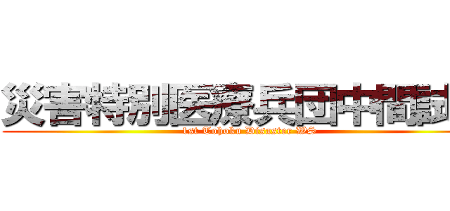 災害特別医療兵団中間試験 (1st Tohoku Disaster WS)