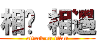 相见 相遇 (attack on titan)