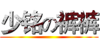 少铭の裤裤 ()