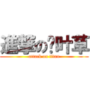 進撃の叁叶草 (attack on titan)