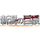 新潟の巨根 (Nigata's big penis)