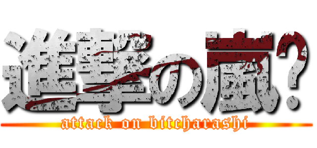 進撃の嵐婊 (attack on bitcharashi)
