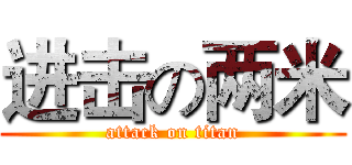 进击の两米 (attack on titan)