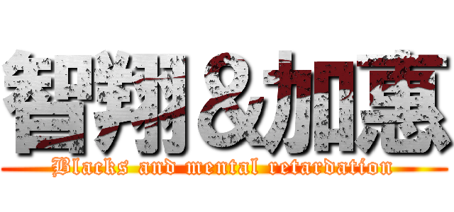 智翔＆加惠 (Blacks and mental retardation)