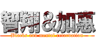 智翔＆加惠 (Blacks and mental retardation)