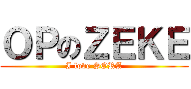 ＯＰのＺＥＫＥ (I love SORA)