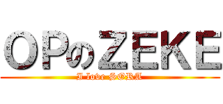 ＯＰのＺＥＫＥ (I love SORA)